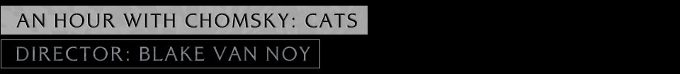 An Hour with Chomsky: Cats directed by Blake Von Noy