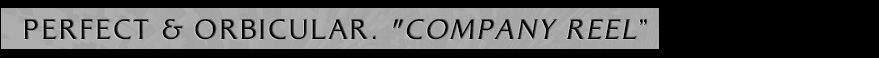title: perfect and orbicular company reel
